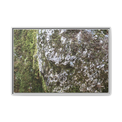 Lichen Landscape - Unique Stretched Canvas Wall Art - Art By Earth