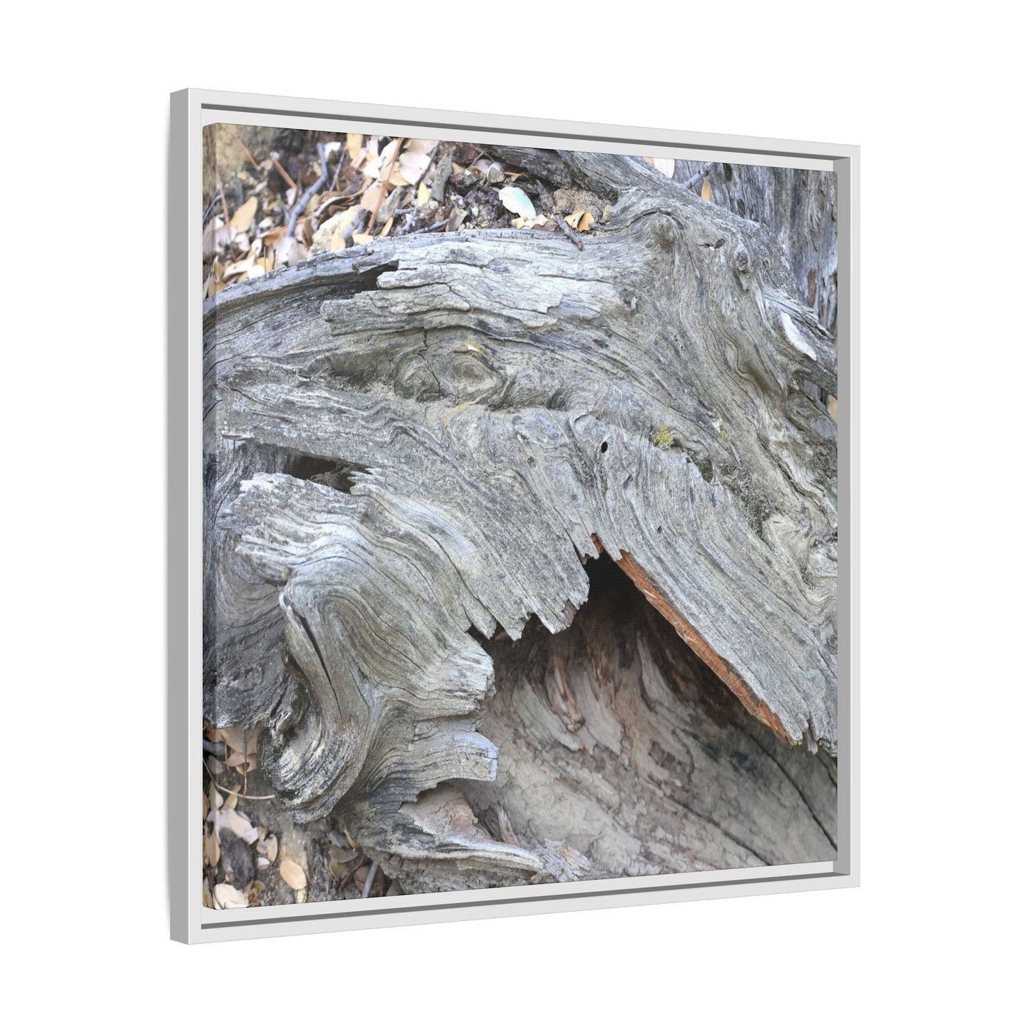 Driftwood Dreams - Unique Stretched Canvas Wall Art - Art By Earth