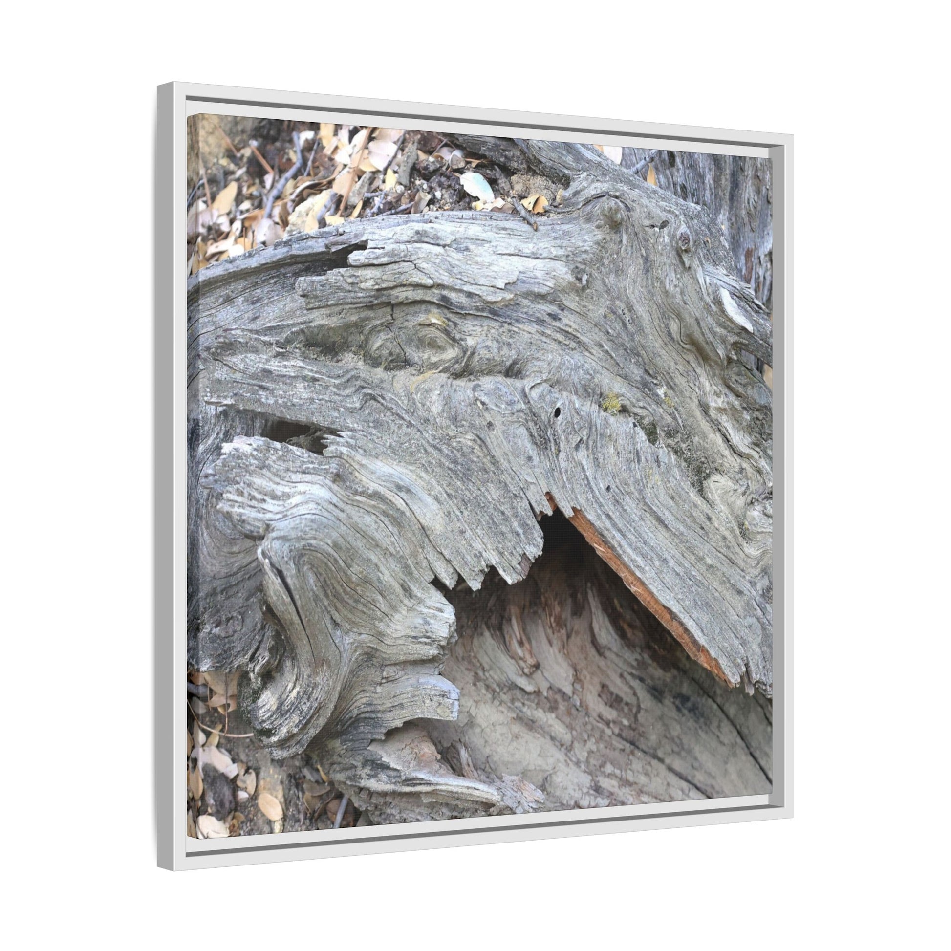 Driftwood Dreams - Unique Stretched Canvas Wall Art - Art By Earth