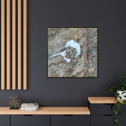 Lichen's Embrace - Unique Stretched Canvas Wall Art