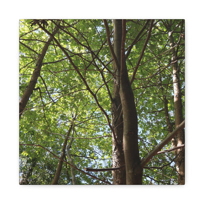 Canopy of Light - Unique Frameless Canvas Wall Art