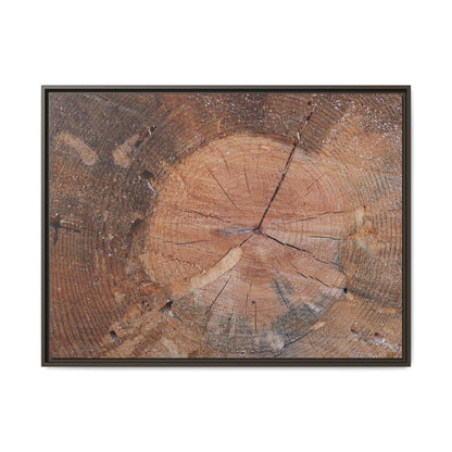 Concentric Memories - Unique Stretched Canvas Wall Art - Art By Earth