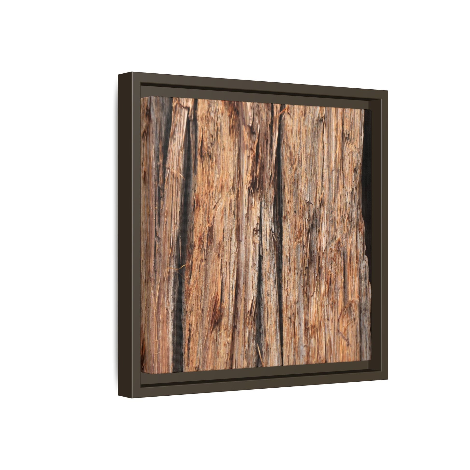 Timber Echoes - Unique Stretched Canvas Wall Art - Art By Earth