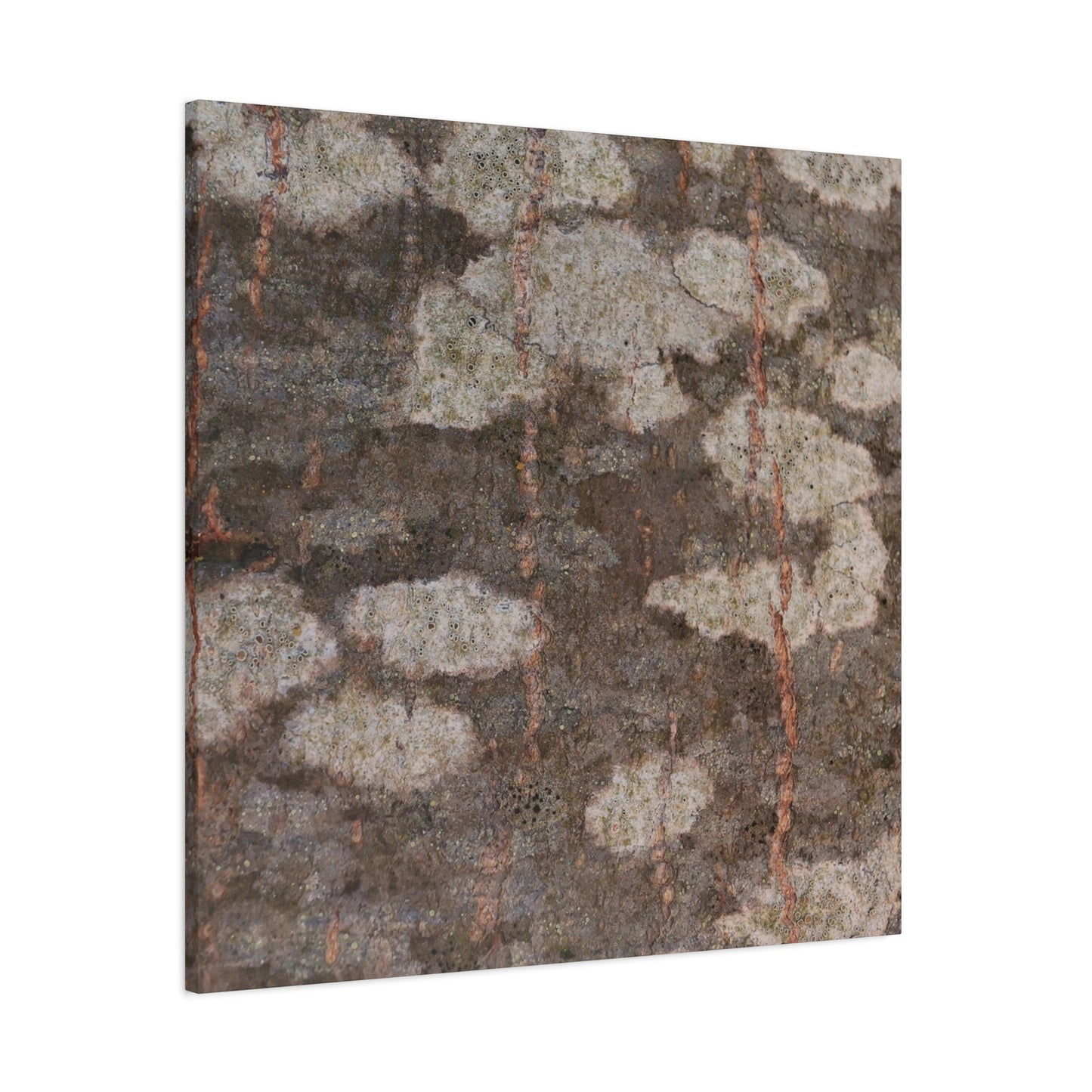 Earthen Memoir - Unique Frameless Canvas Wall Art - Art By Earth