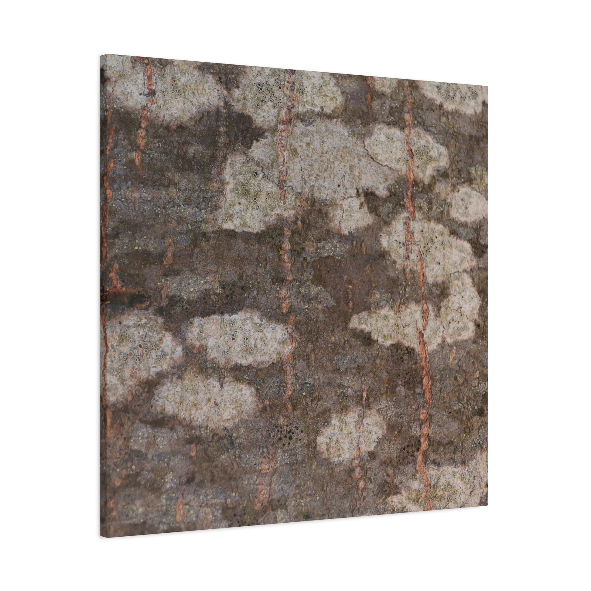 Earthen Memoir - Unique Frameless Canvas Wall Art - Art By Earth