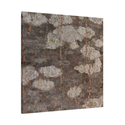 Earthen Memoir - Unique Frameless Canvas Wall Art - Art By Earth