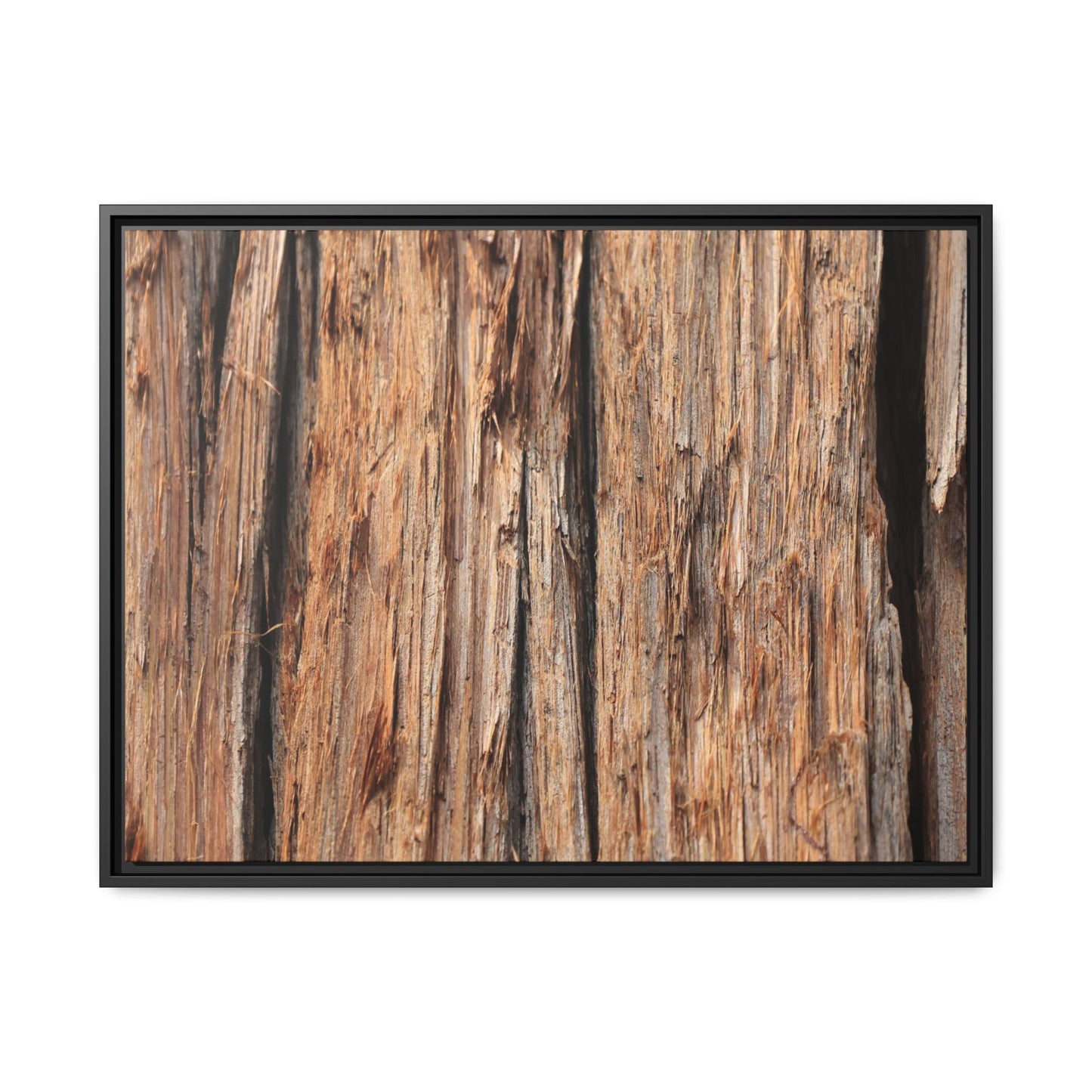 Timber Echoes - Unique Stretched Canvas Wall Art - Art By Earth