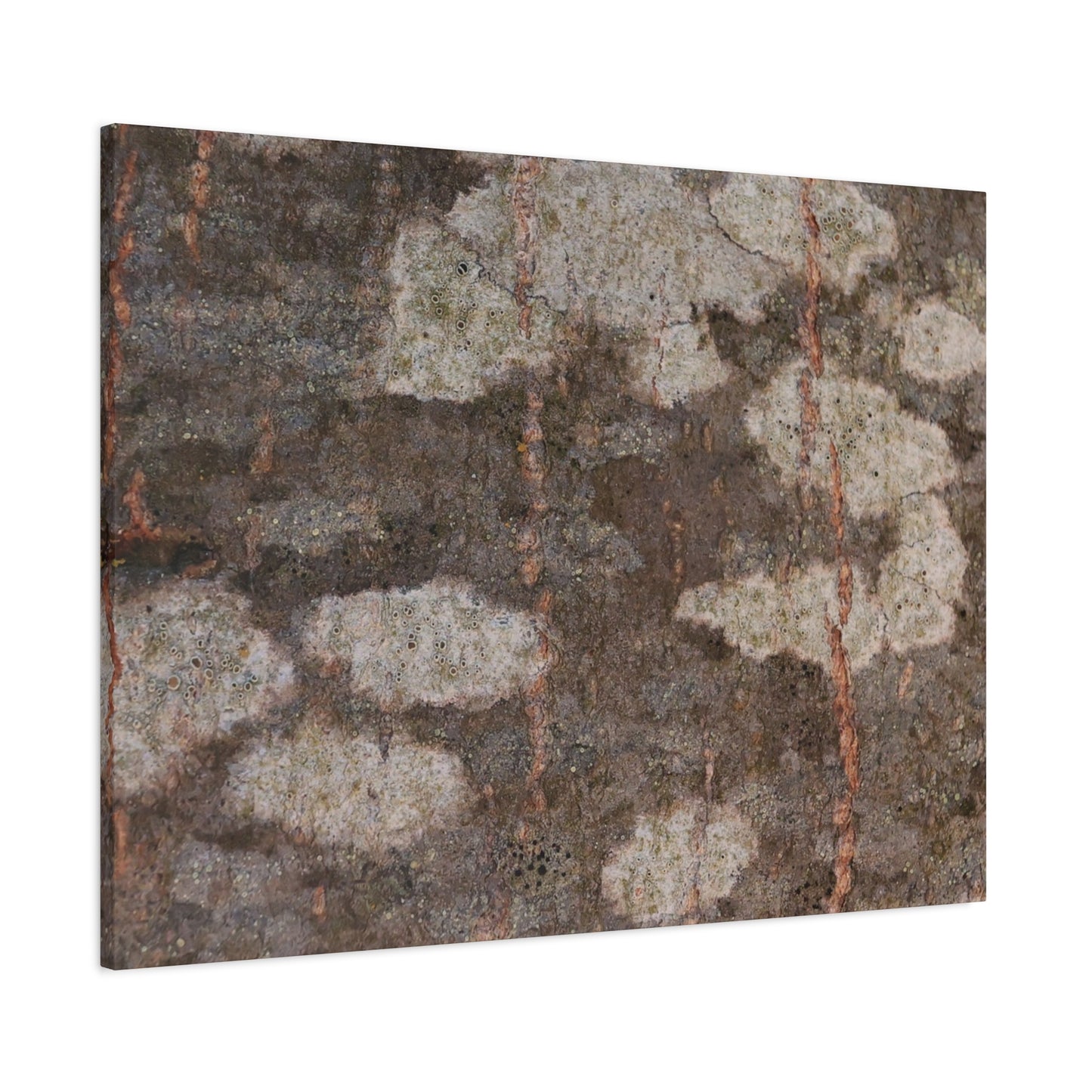 Earthen Memoir - Unique Frameless Canvas Wall Art - Art By Earth