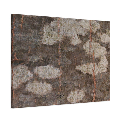 Earthen Memoir - Unique Frameless Canvas Wall Art - Art By Earth