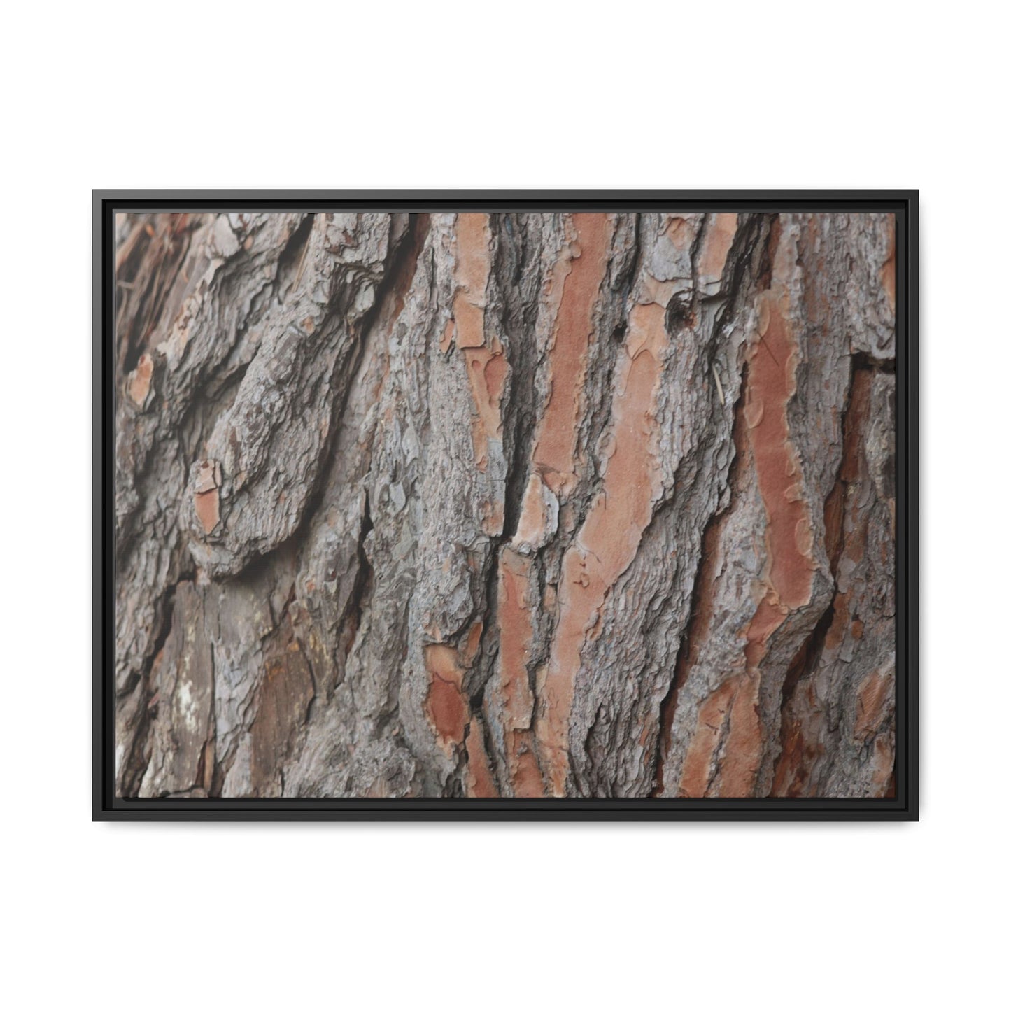 Woodland Layers - Unique Stretched Canvas Wall Art - Art By Earth