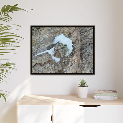 Lichen's Embrace - Unique Stretched Canvas Wall Art