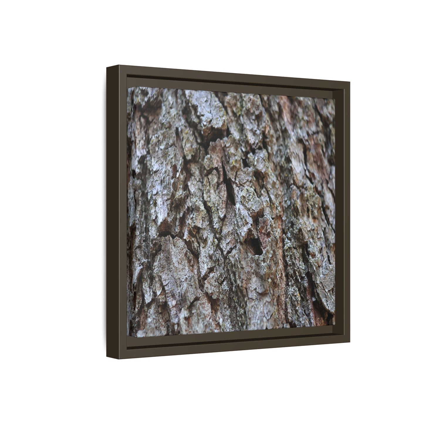 Woodland Canvas - Unique Stretched Canvas Wall Art - Art By Earth