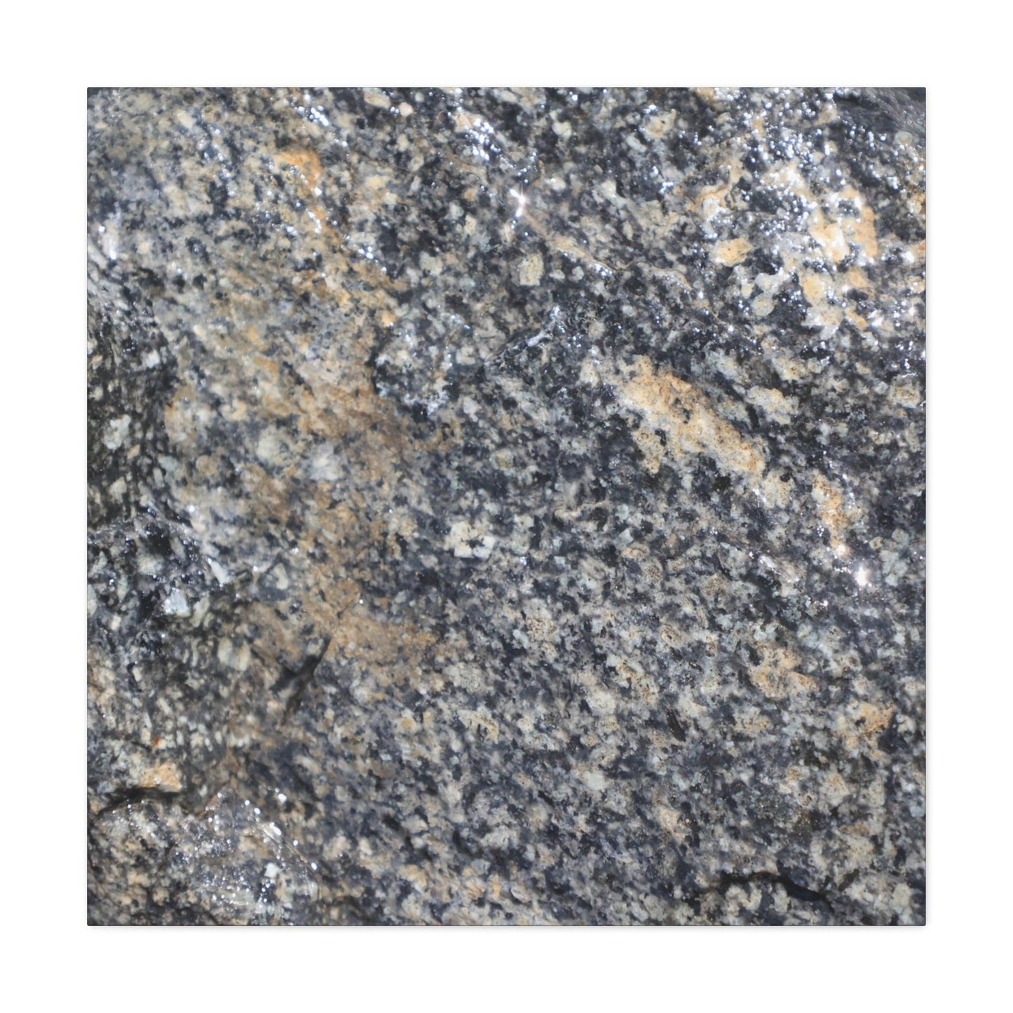 Metamorphic Memory - Unique Frameless Canvas Wall Art - Art By Earth