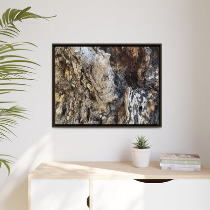 Ancient Tree Texture - Unique Stretched Canvas Wall Art - Art By Earth