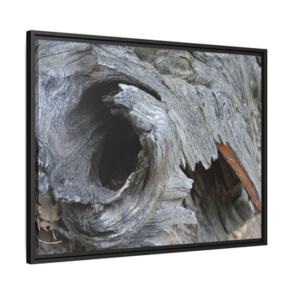 Bark's Labyrinth - Unique Stretched Canvas Wall Art - Art By Earth