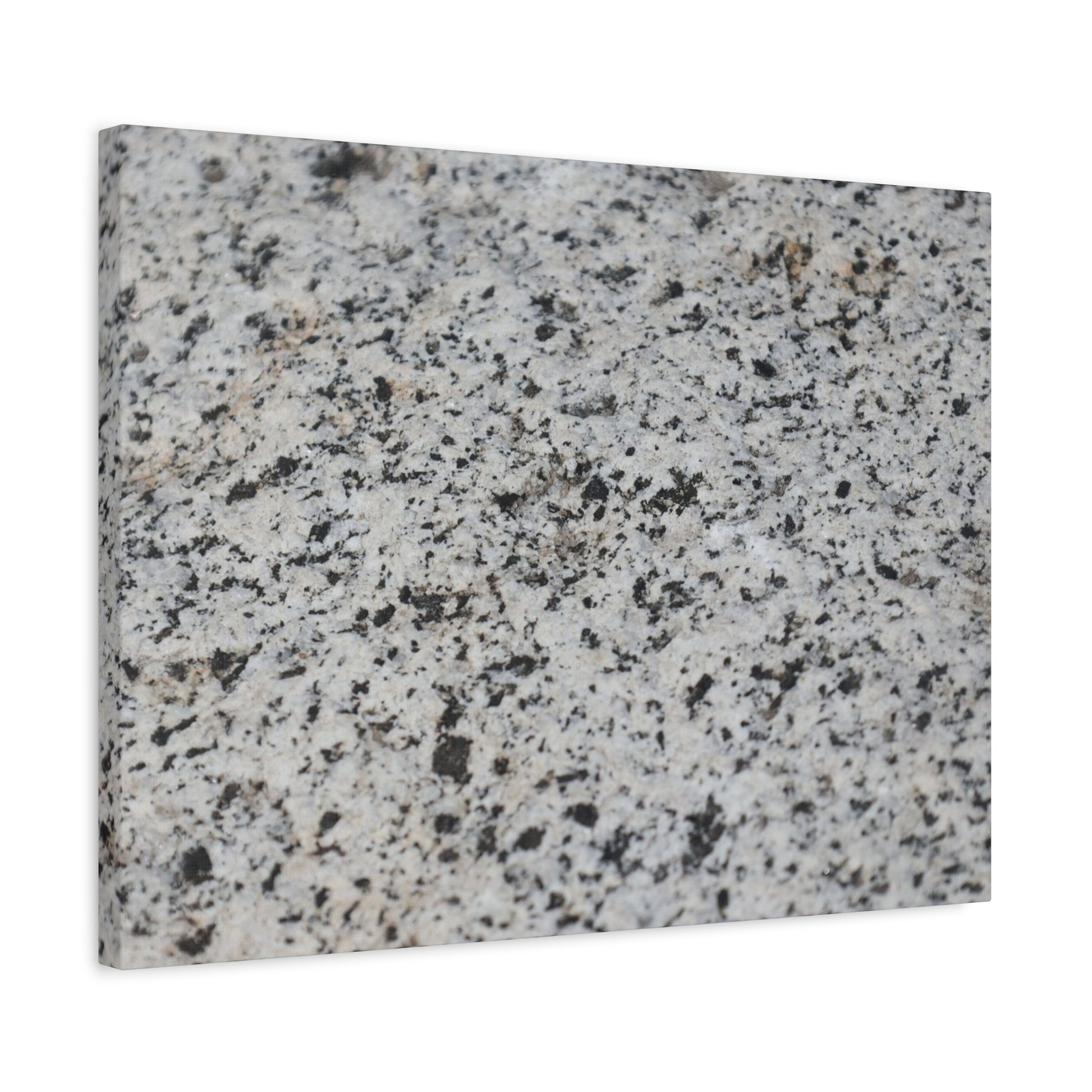 Speckled Silence - Unique Frameless Canvas Wall Art - Art By Earth