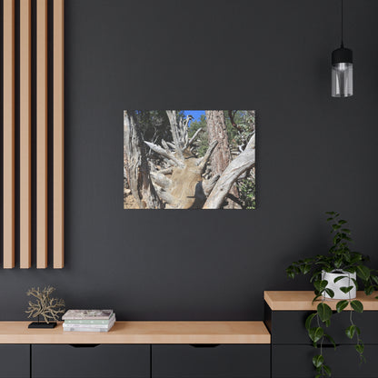 Twisted Roots - Unique Frameless Canvas Wall Art