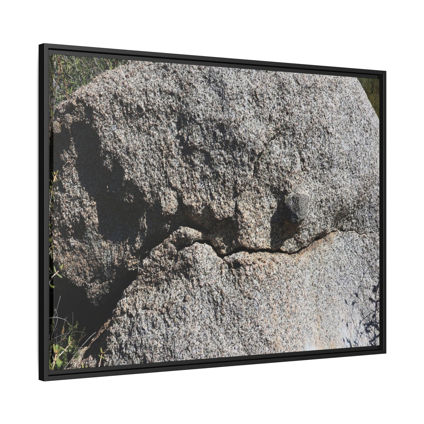 Stone Skull in Desert - Unique Stretched Canvas Wall Art