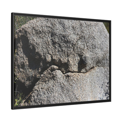 Stone Skull in Desert - Unique Stretched Canvas Wall Art