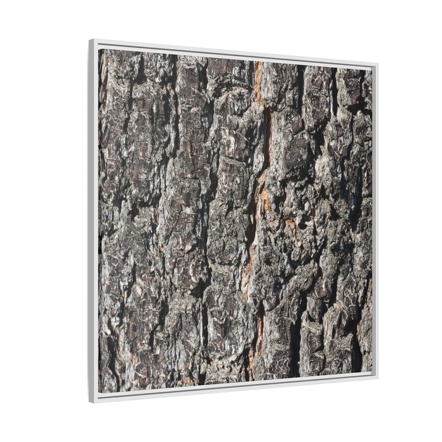 Aged Beauty - Unique Stretched Canvas Wall Art - Art By Earth