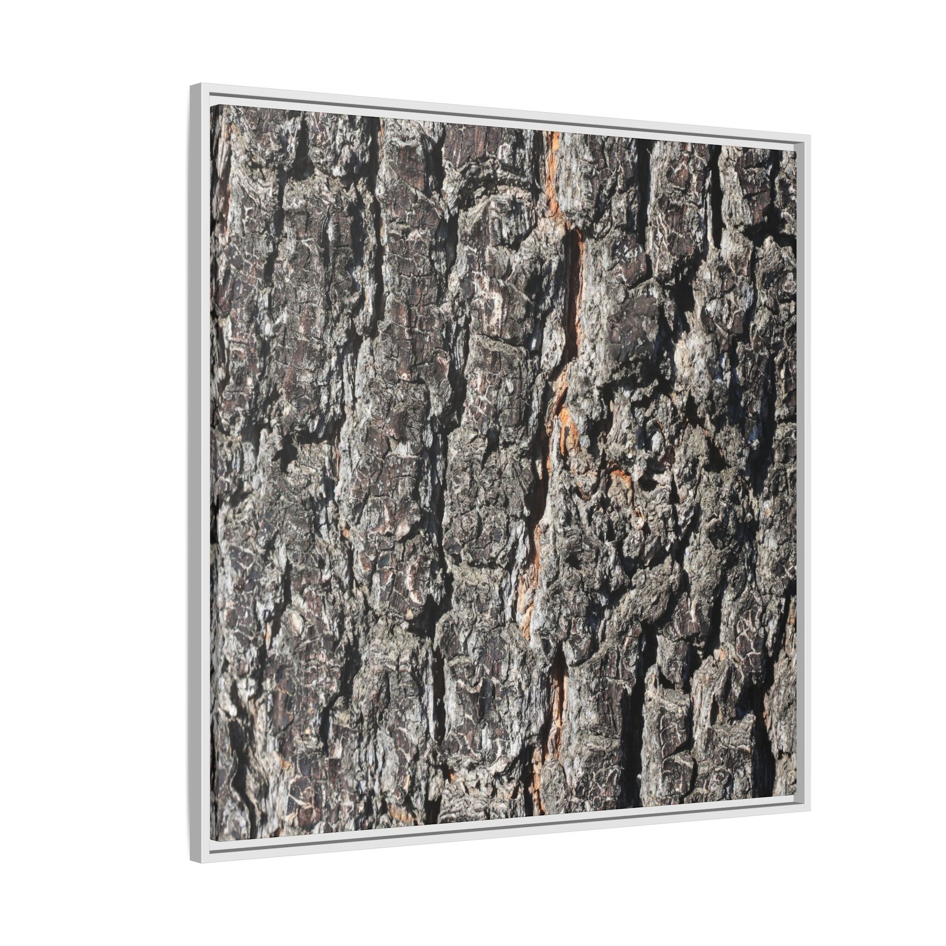 Aged Beauty - Unique Stretched Canvas Wall Art - Art By Earth