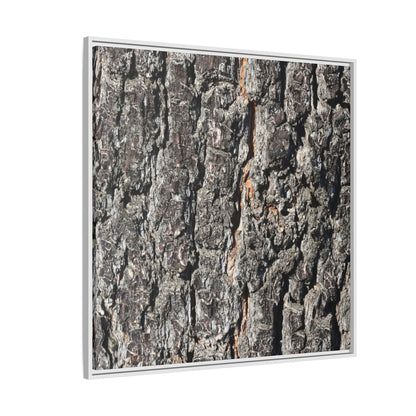 Aged Beauty - Unique Stretched Canvas Wall Art - Art By Earth