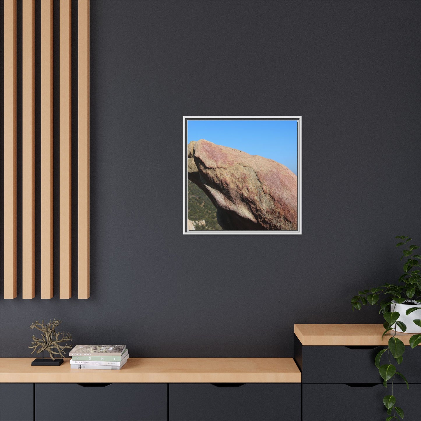 Sleeping Stone - Unique Stretched Canvas Wall Art - Art By Earth