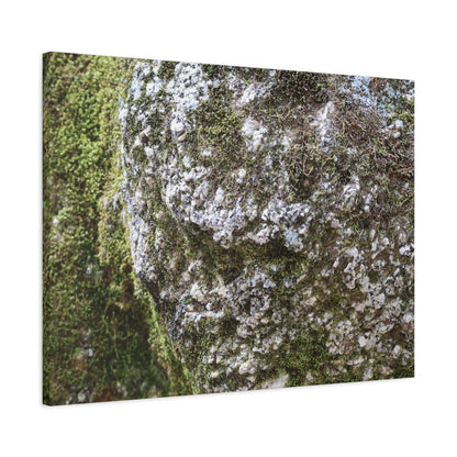 Moss and Stone Whispers - Unique Frameless Canvas Wall Art - Art By Earth