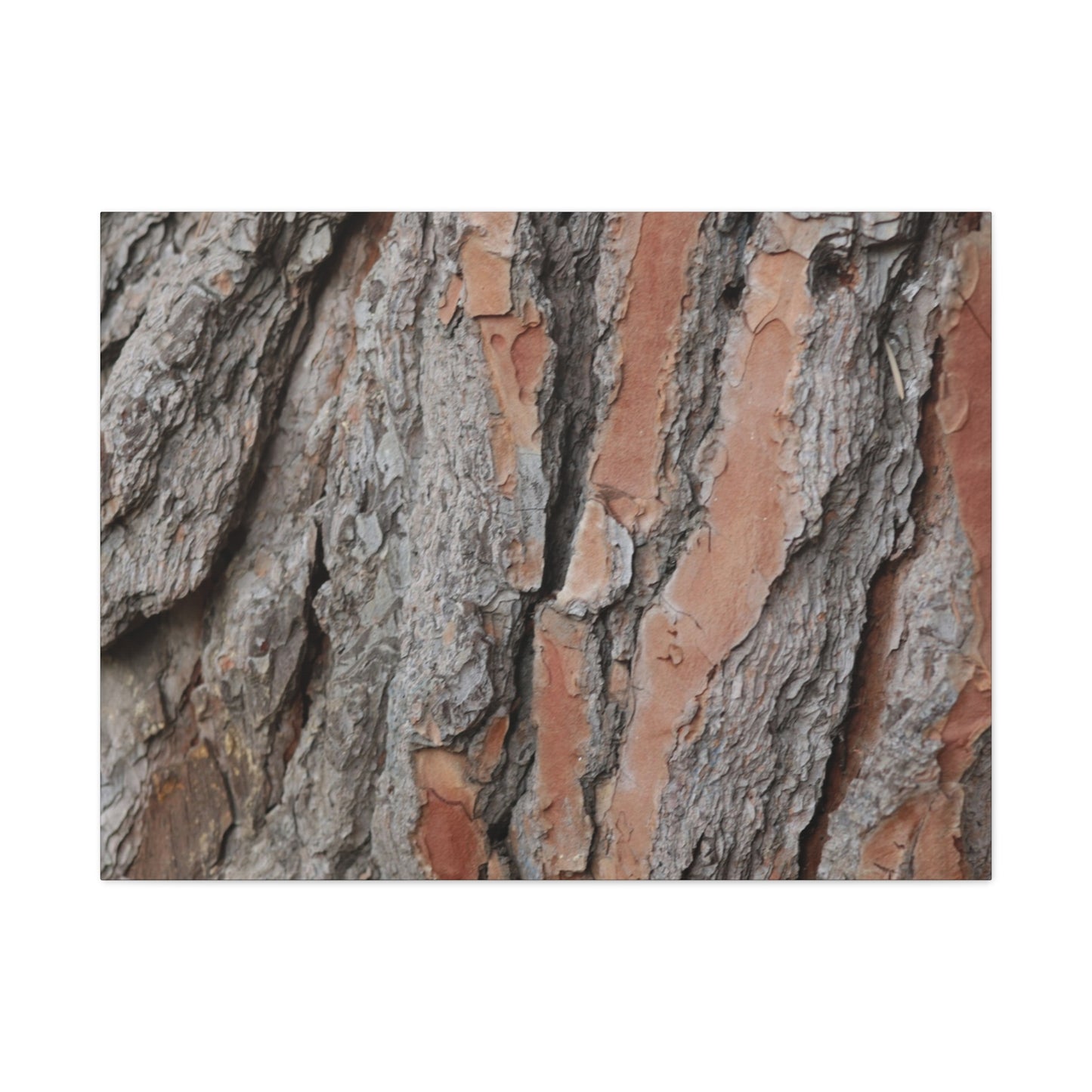 Fractal Landscape - Unique Frameless Canvas Wall Art - Art By Earth