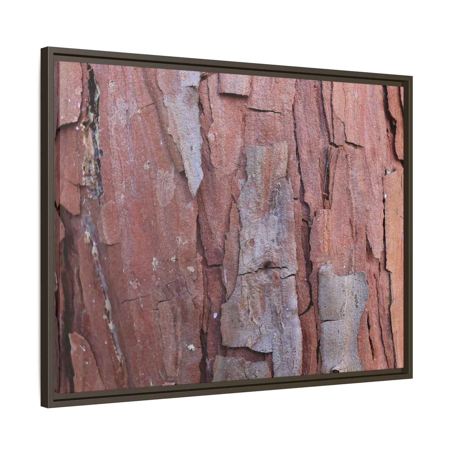 Peeling Bark - Unique Stretched Canvas Wall Art - Art By Earth