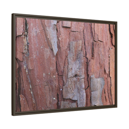 Peeling Bark - Unique Stretched Canvas Wall Art - Art By Earth