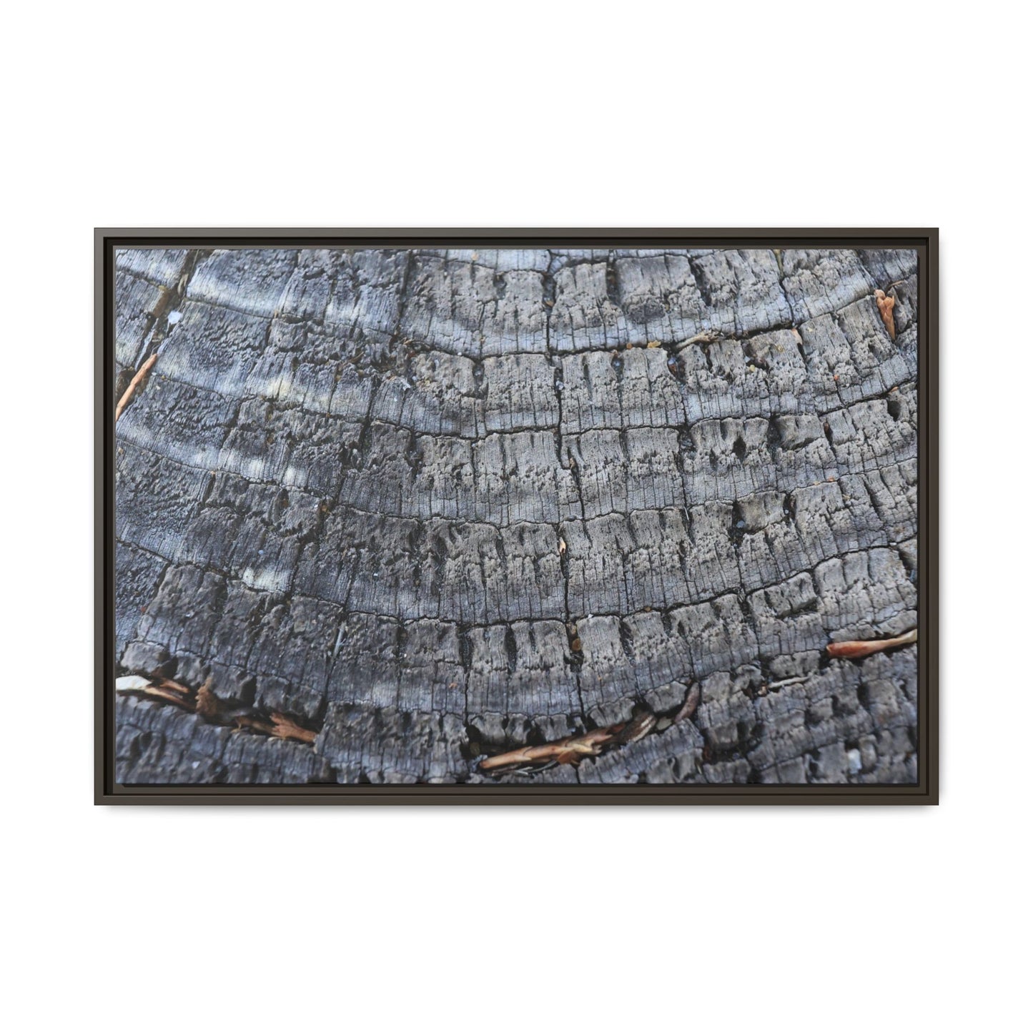 Charred Memories - Unique Stretched Canvas Wall Art - Art By Earth