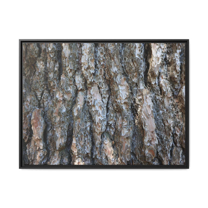 Bark Whispers - Unique Stretched Canvas Wall Art - Art By Earth