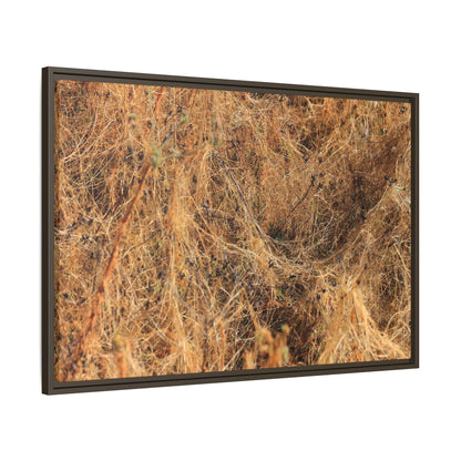 Dried Vegetation Study - Unique Stretched Canvas Wall Art - Art By Earth