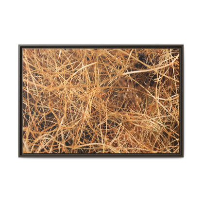 Dried Grass - Unique Stretched Canvas Wall Art - Art By Earth