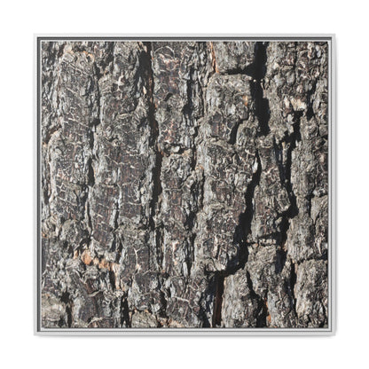 Bark Study in Gray - Unique Stretched Canvas Wall Art - Art By Earth