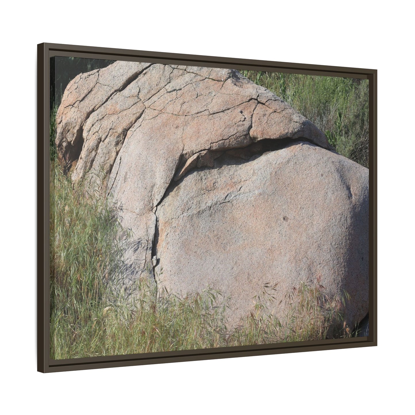 Stone Head Emerging from Earth - Unique Stretched Canvas Wall Art - Art By Earth