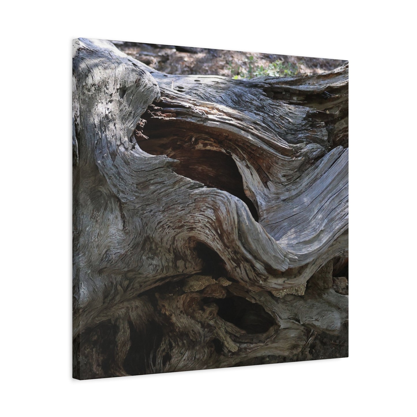 Twisted Fate - Unique Frameless Canvas Wall Art - Art By Earth