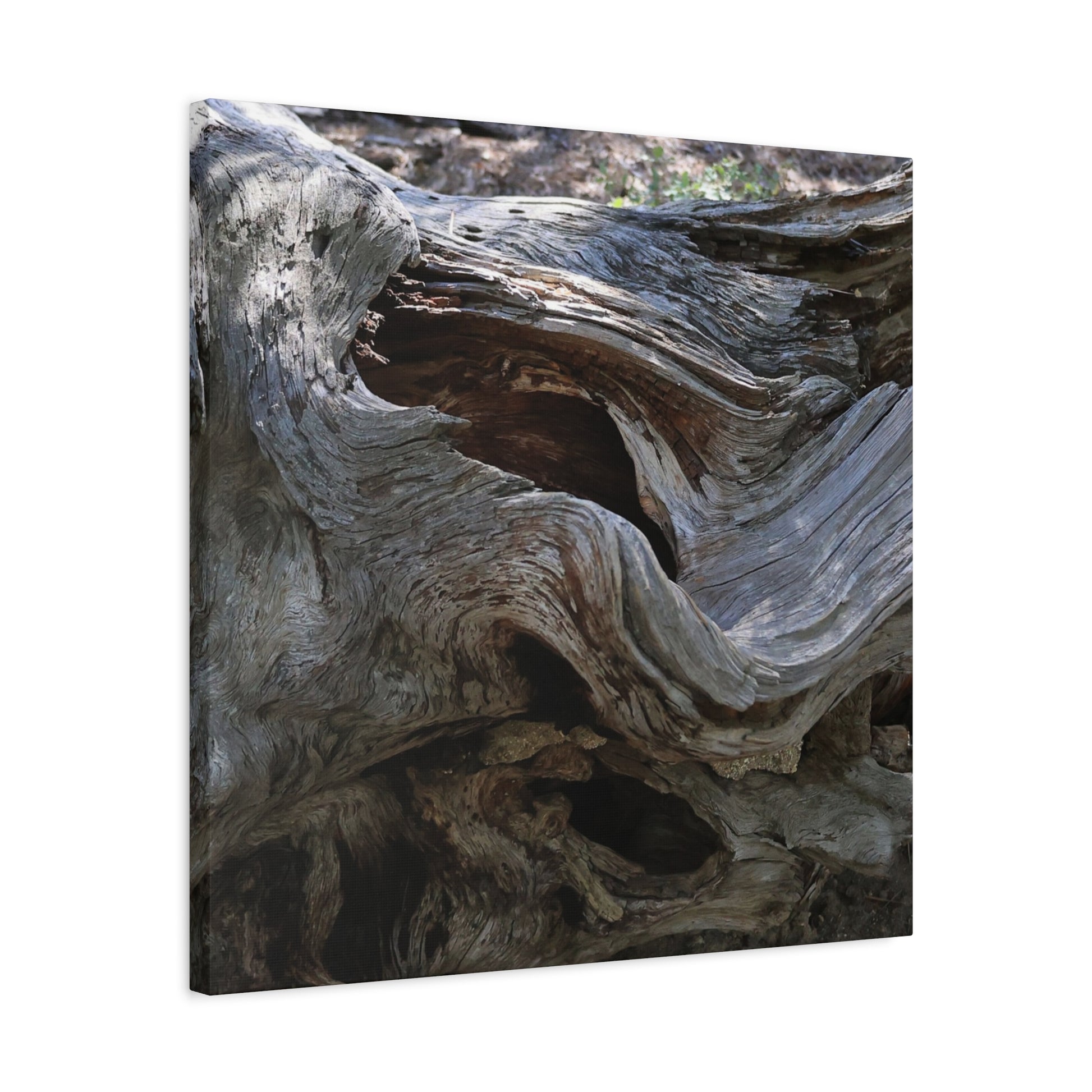 Twisted Fate - Unique Frameless Canvas Wall Art - Art By Earth