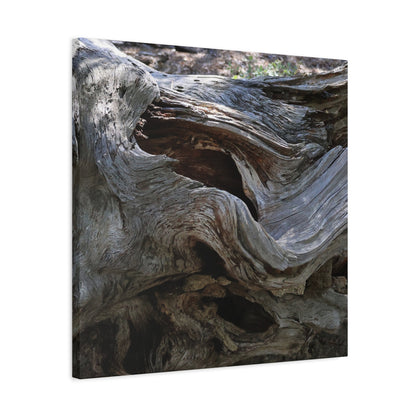 Twisted Fate - Unique Frameless Canvas Wall Art - Art By Earth