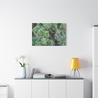 Green Labyrinth - Unique Frameless Canvas Wall Art - Art By Earth