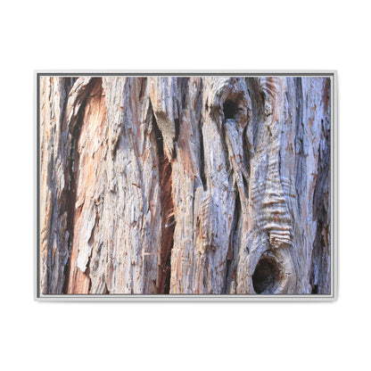 Nature's Grain - Unique Stretched Canvas Wall Art - Art By Earth
