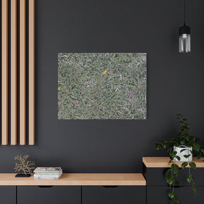 Tangled Memories - Unique Frameless Canvas Wall Art - Art By Earth