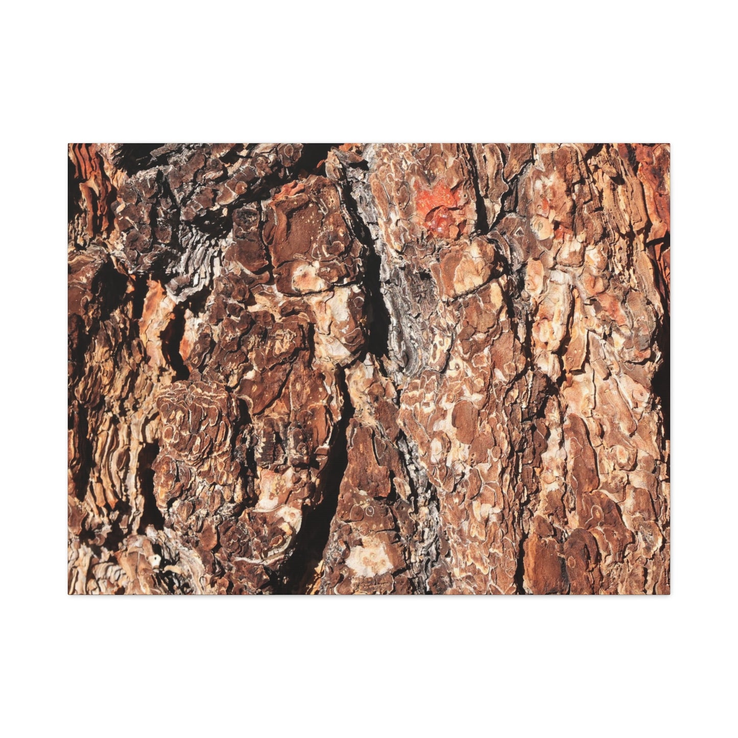 Russet Echoes - Unique Frameless Canvas Wall Art