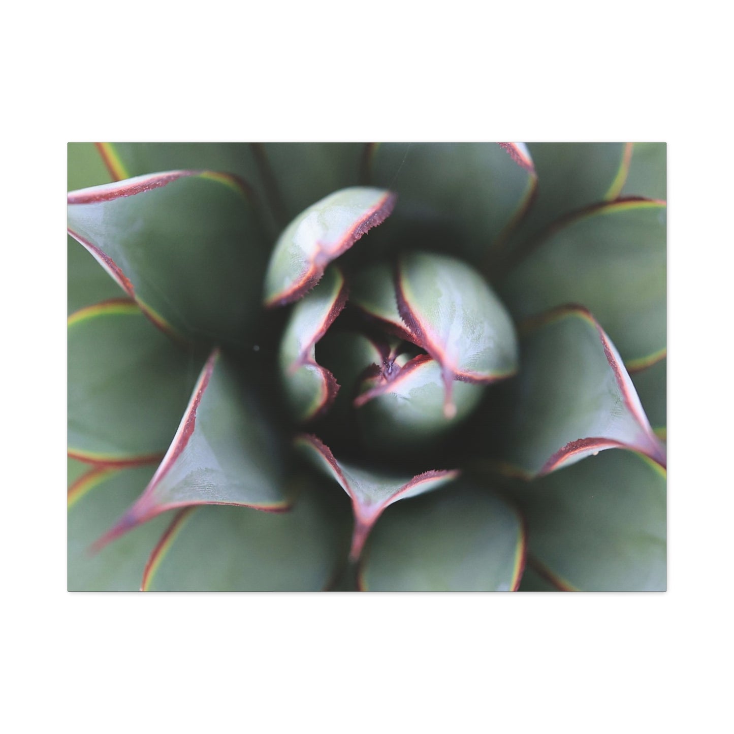 Emerald Spiral - Unique Frameless Canvas Wall Art - Art By Earth