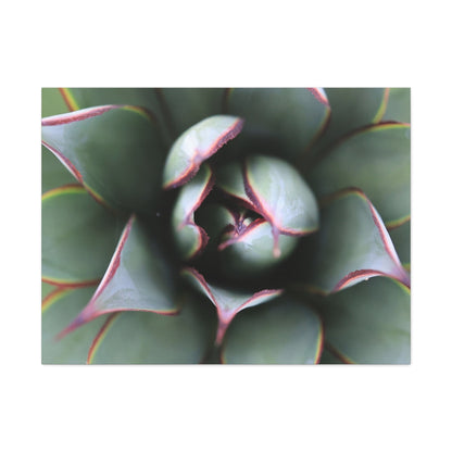 Emerald Spiral - Unique Frameless Canvas Wall Art - Art By Earth