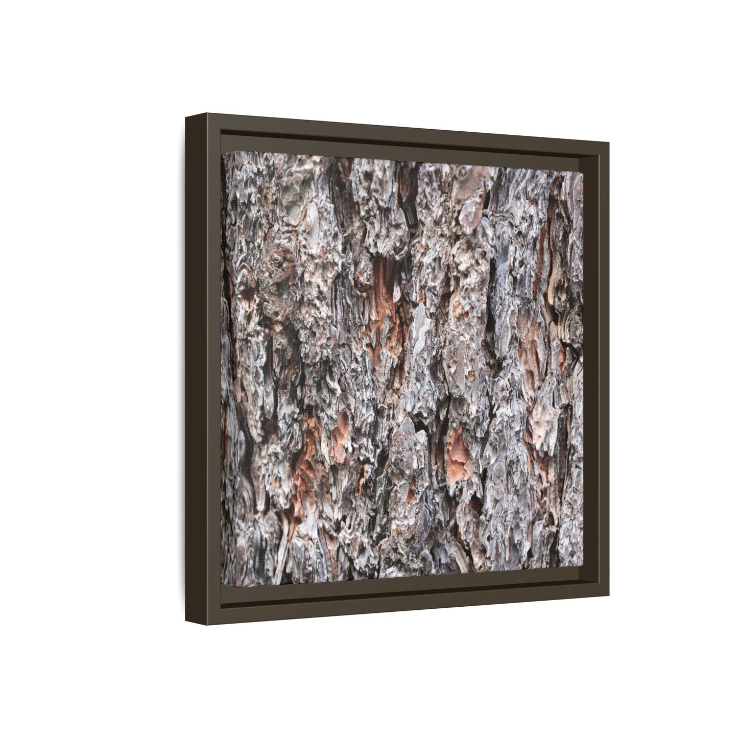 Rugged Cortex - Unique Stretched Canvas Wall Art - Art By Earth