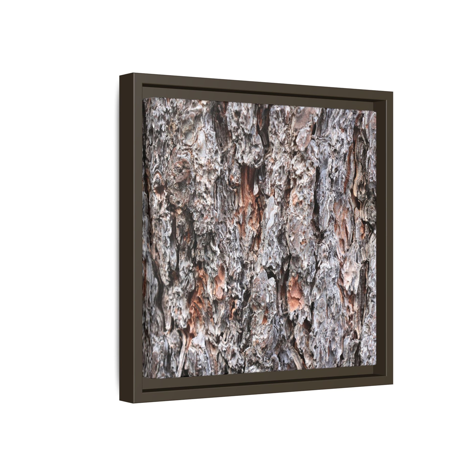 Rugged Cortex - Unique Stretched Canvas Wall Art - Art By Earth