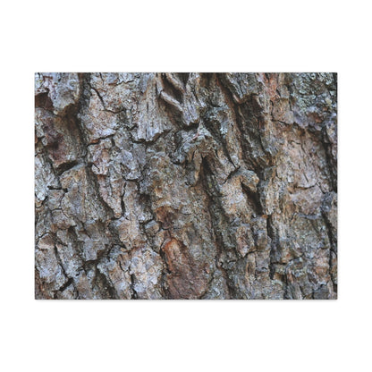 Rugged Canvas - Unique Frameless Canvas Wall Art - Art By Earth