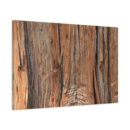 Bark's Ancient Whispers - Unique Frameless Canvas Wall Art - Art By Earth